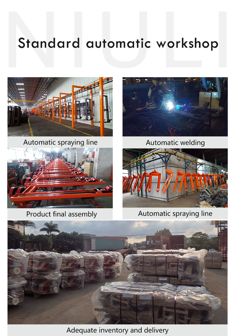 Lift Hand Pallet Truck 