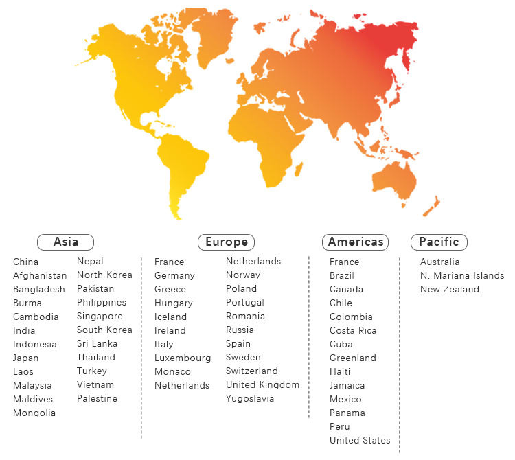 Hand Hand Pallet Truck 