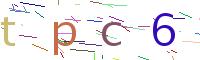 Verify Code