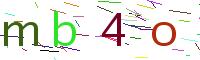 Verify Code