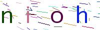 Verify Code