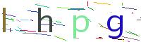 Verify Code