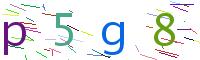 Verify Code