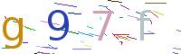 Verify Code