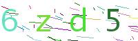 Verify Code