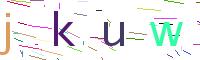 Verify Code
