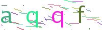 Verify Code