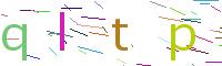 Verify Code