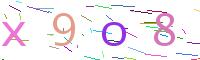 Verify Code
