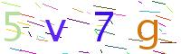 Verify Code