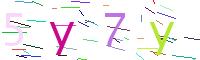 Verify Code