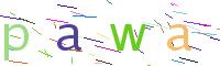 Verify Code