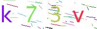 Verify Code