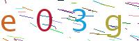 Verify Code