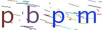 Verify Code