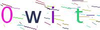Verify Code