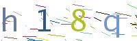 Verify Code