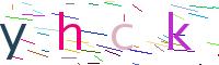 Verify Code
