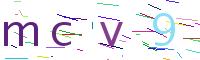 Verify Code
