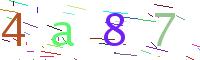 Verify Code